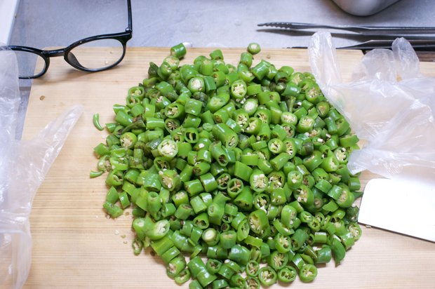 青唐辛子のカット、手袋メガネ必須！