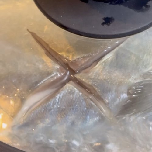 みりんと大量の料理酒で煮込む